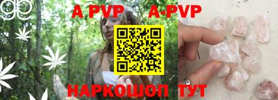 хмурый Кингисепп