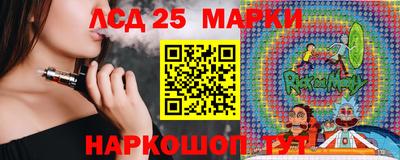 хмурый Кингисепп
