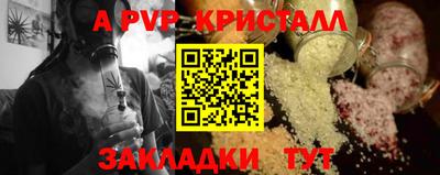 хмурый Кингисепп