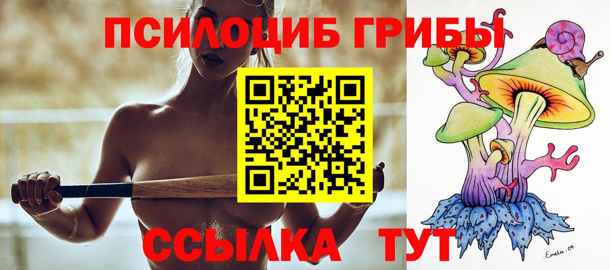 Галлюциногенные грибы Magic Shrooms  Вход с VPN  Киров  Псилоцибиновые грибы мухоморы 